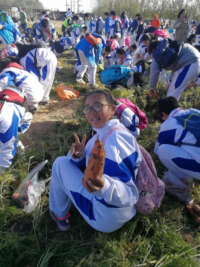 1510882201103372.jpg