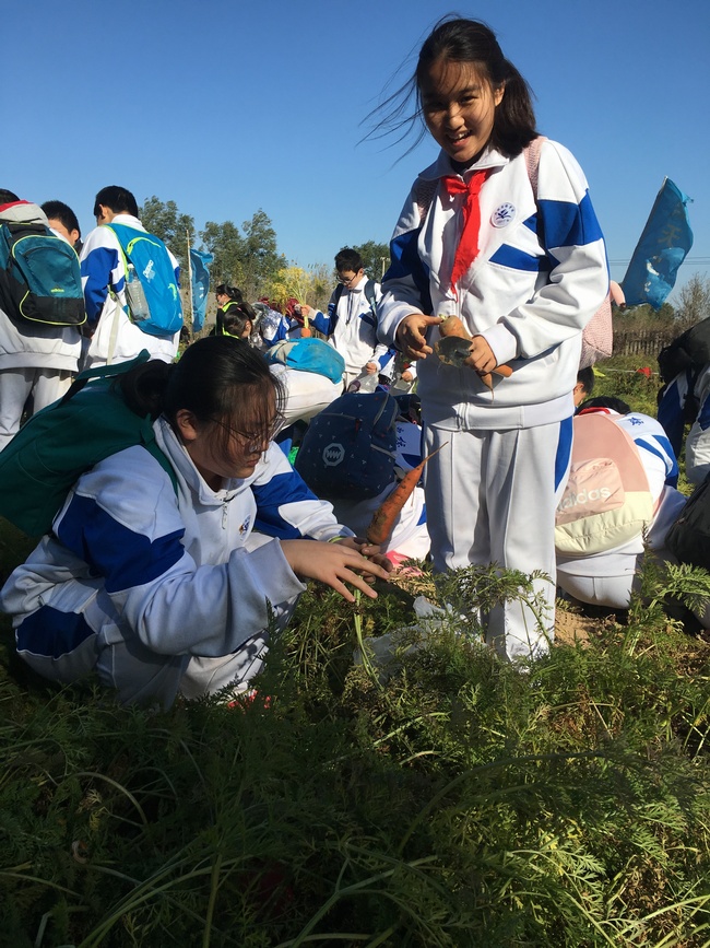 1510882202251802.jpg