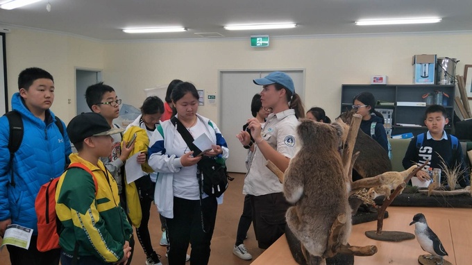 1553217659685022.jpg 企鹅岛老师讲解动物标本.jpg