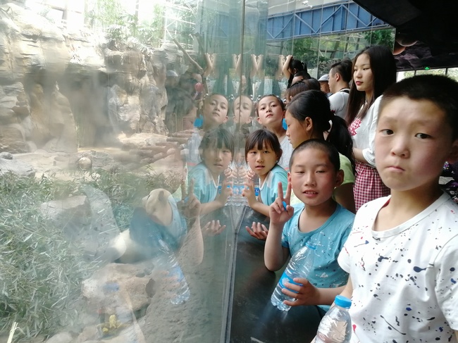 1525938930382929.jpg 微信图片_20180504145316.jpg
